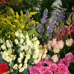 Flower arrangements for all occasions